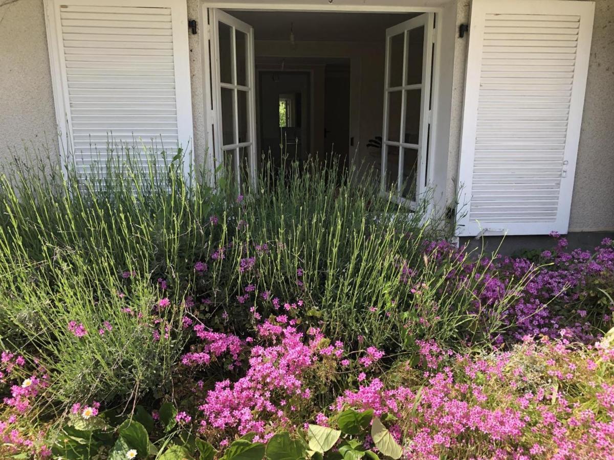 Nantiat Les Vieux Fourneaux Bed & Breakfast エクステリア 写真